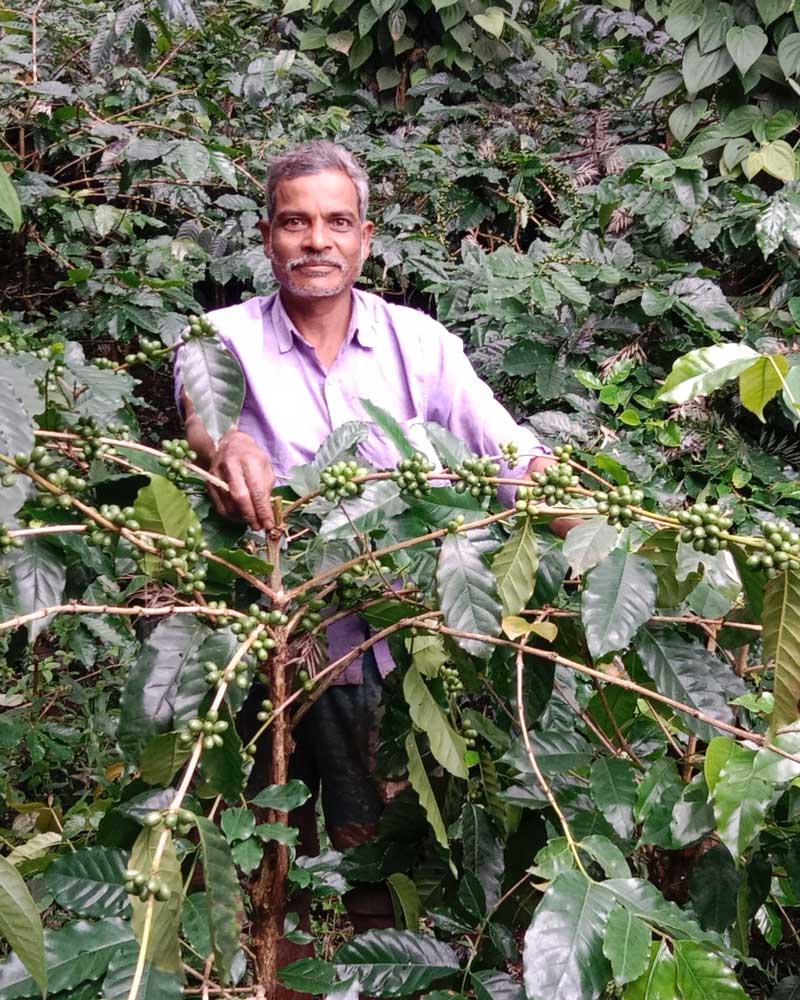 Masada Kondababu est un des fermiers producteur du micro-lot Gurupalli au coeur de la vallée d'Araku en Inde