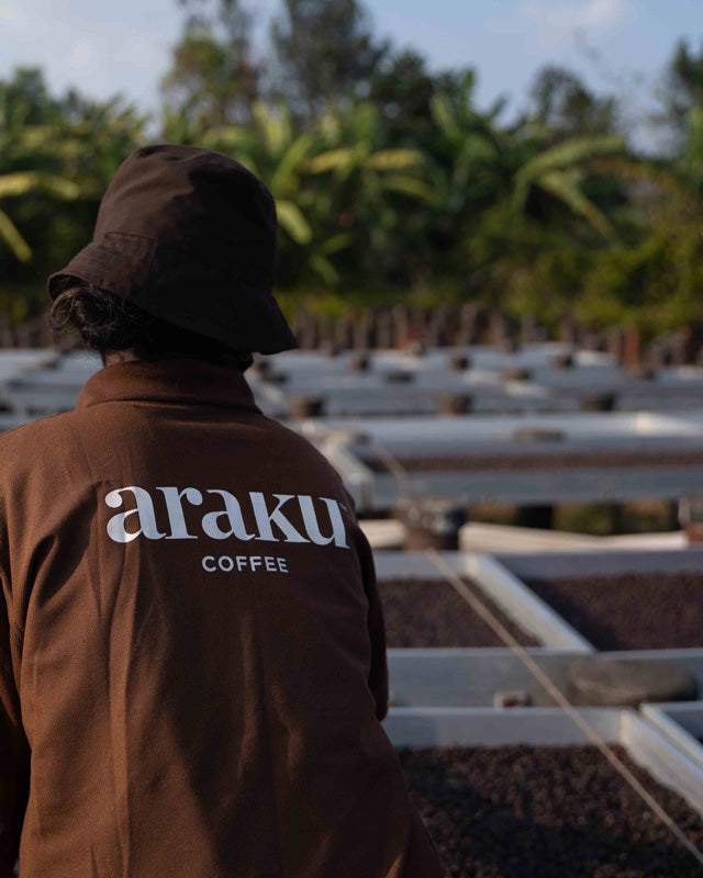 sechage des grains de café de spécialité dans la coopérative d'Araku 