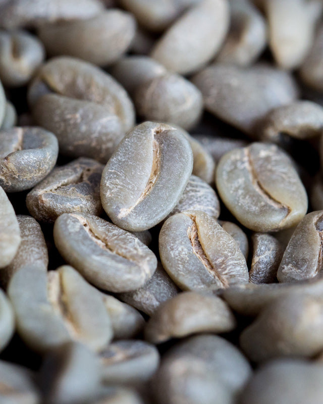 process café lavé et naturel dans la vallée d'Araku